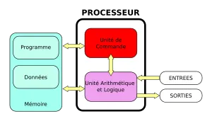 Le processeur, la mémoire et les périphériques d'entrée et de sortie communiquent entre eux grâce à trois bus de communication: le bus d'adresses, le bus de données et le bus de contrôle.